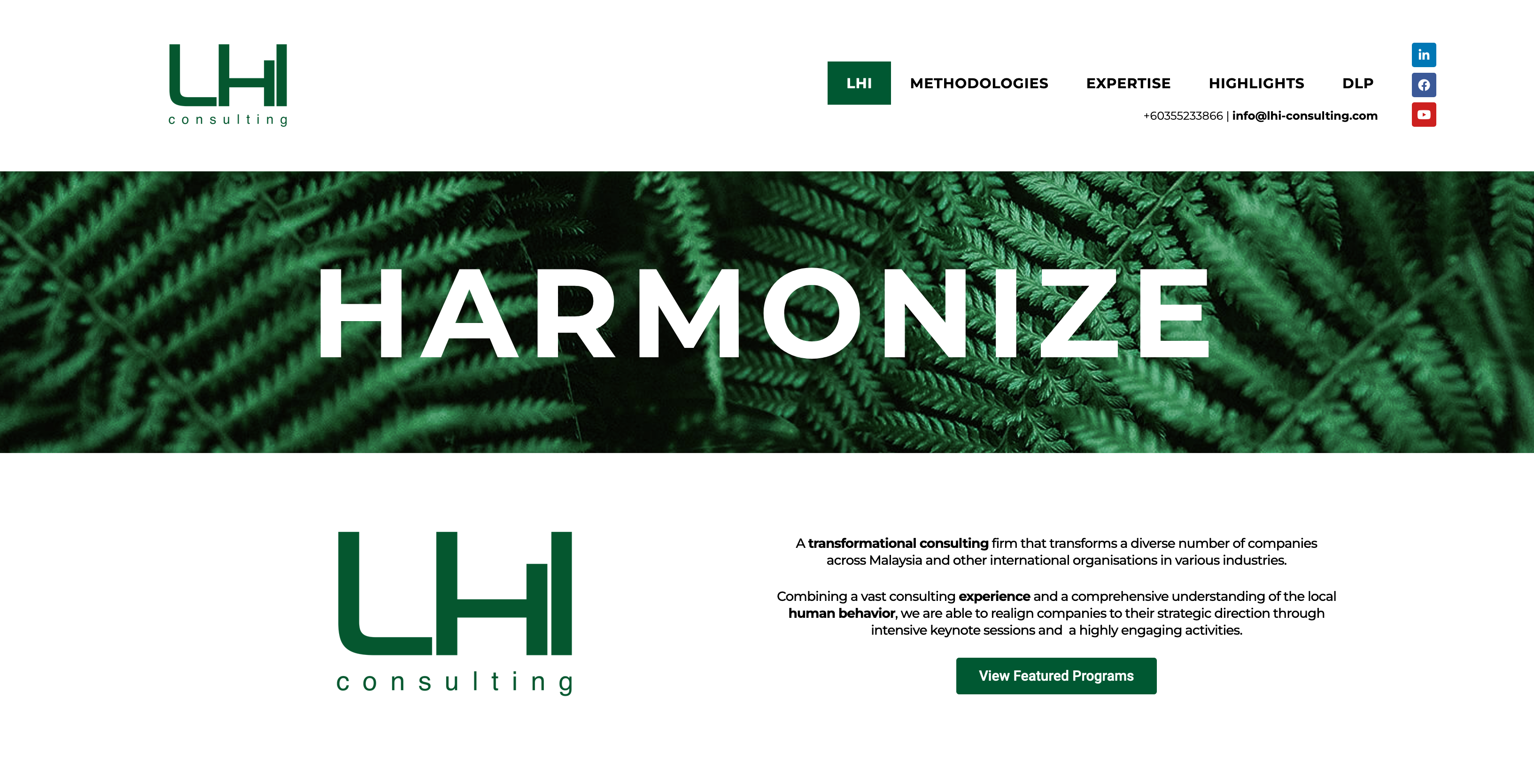 LHI Consulting